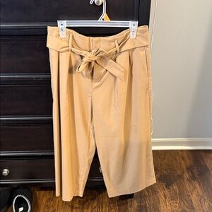 Banana Republic Tan Wide Leg Dress Pants
